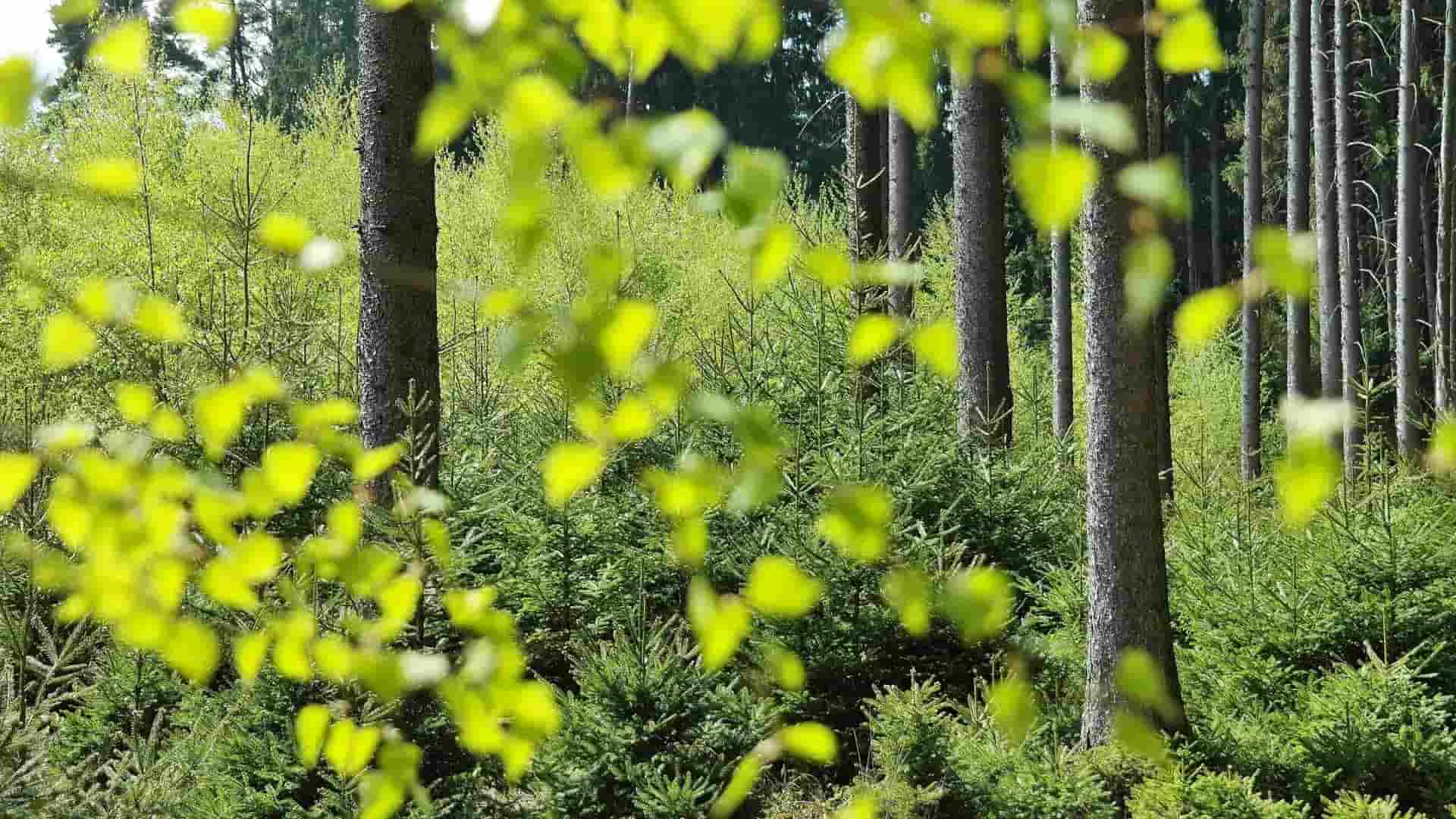 Psychologiczna pomoc i wsparcie